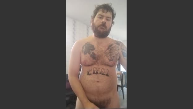 touro_comedor85 19-02-2026 Recorded Video legs