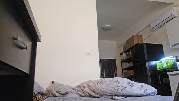 Bear_Baby 21-02-2026 Recorded Video bj-dildo