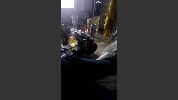 Javierxzpu 21-02-2026 Recorded Video lovense