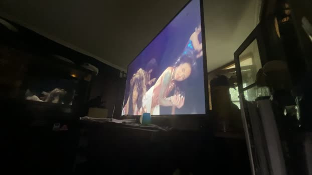 MrBlkHorse01 20-02-2026 Recorded Video playtime