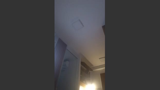 Pedrog24 21-02-2026 Recorded Video toys