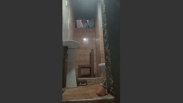Pngrande20cm 20-02-2026 Recorded Video analtoy