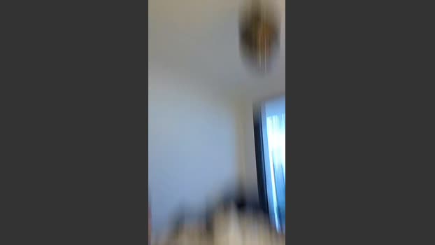 Romcruz 20-02-2026 Recorded Video analtoy