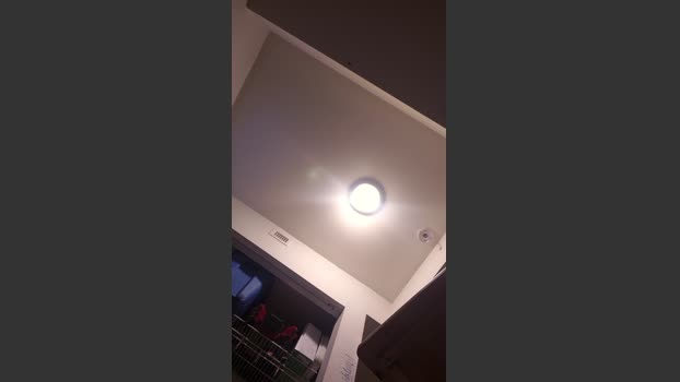 bigBUZZZZ69 20-02-2026 Recorded Video bigballs