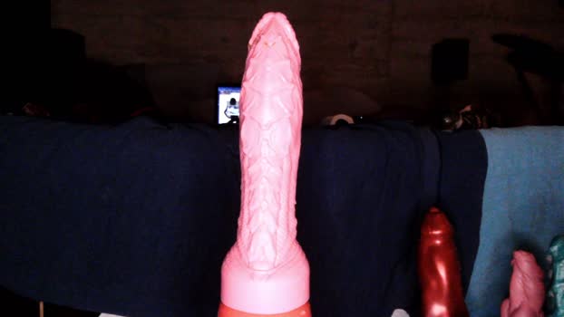 buttslut4you 21-02-2026 Recorded Video jerking