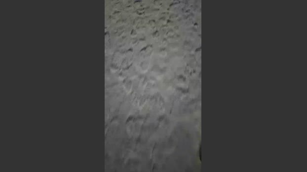 likescock5 20-02-2026 Recorded Video naked
