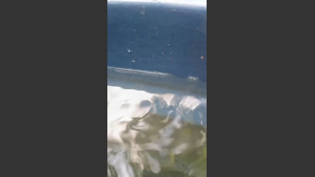 mrcrowley78 20-02-2026 Recorded Video blowjob