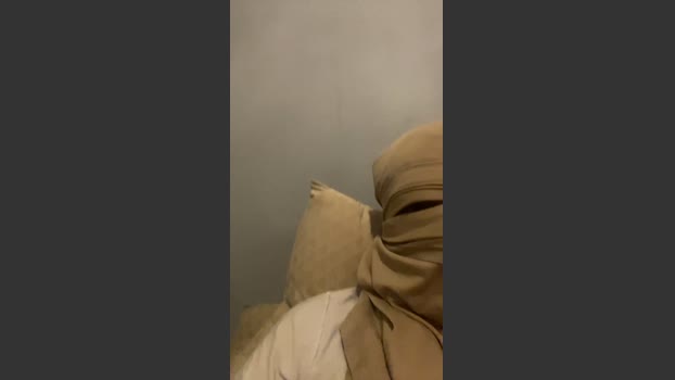 picoBot69 21-02-2026 Recorded Video beauty