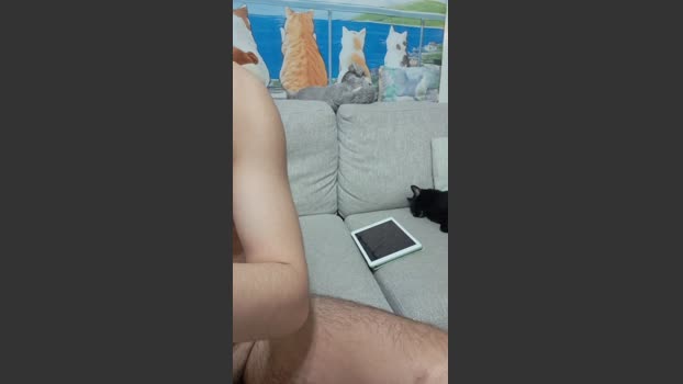 GGgame 22-02-2026 Recorded Video Pretty