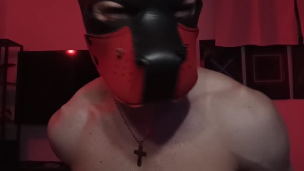 Frabroker 22-02-2026 Recorded Video strip