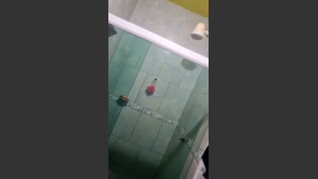 feliperj2_hot 22-02-2026 Recorded Video lovense