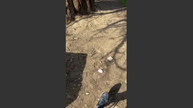 20cm98 25-02-2026 Recorded Video Webcam