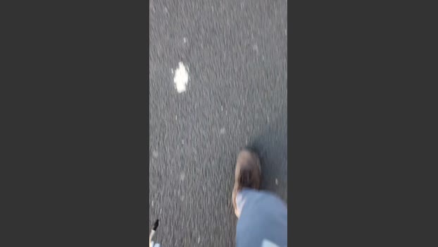 HairyFrenchcock 24-02-2026 Recorded Video cute