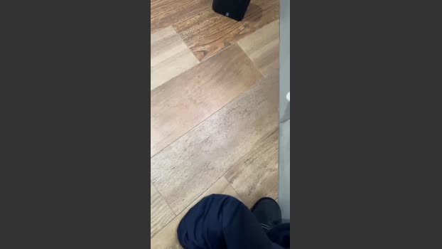 Zorro2024 25-02-2026 Recorded Video ass