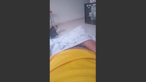 hardsexlove08 24-02-2026 Recorded Video bigtoys