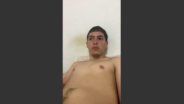 Perroroo 26-02-2026 Recorded Video analtoy