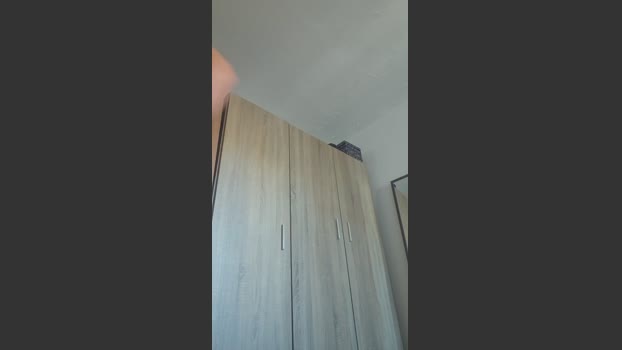 Realluis 26-02-2026 Recorded Video analtoy