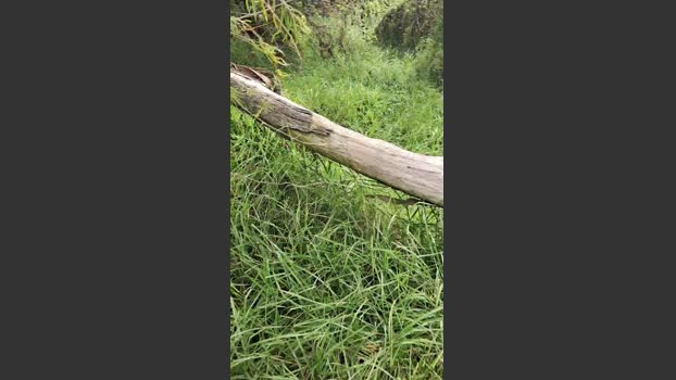 aaronbigdickxxx 25-02-2026 Recorded Video love
