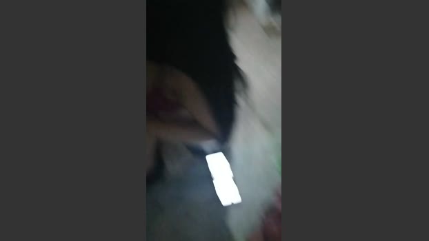 Bernardo369 27-02-2026 Recorded Video big