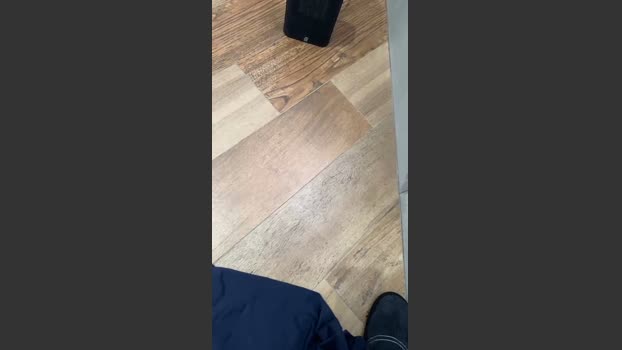 Zorro2024 27-02-2026 Recorded Video big