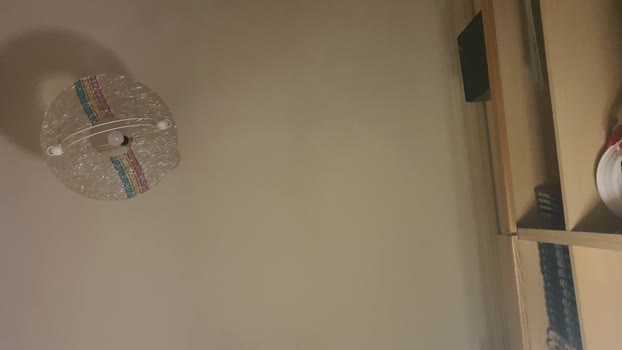scrocchia84 27-02-2026 Recorded Video play