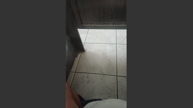 Andrerastape 28-02-2026 Recorded Video jackoff