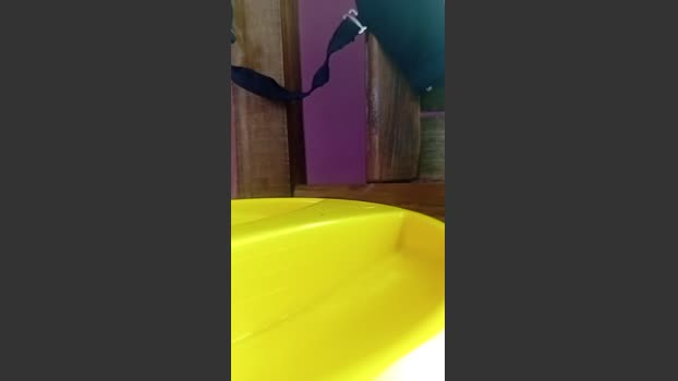 Pisspoopigpsir 28-02-2026 Recorded Video show