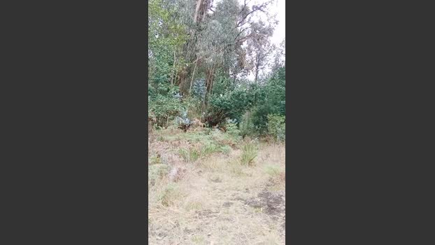 _noahdiaz 28-02-2026 Recorded Video fuckhard