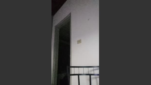 homemtravesso 01-03-2026 Recorded Video gay
