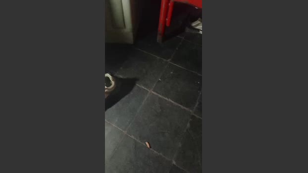 potrocba_sexy 01-03-2026 Recorded Video lick