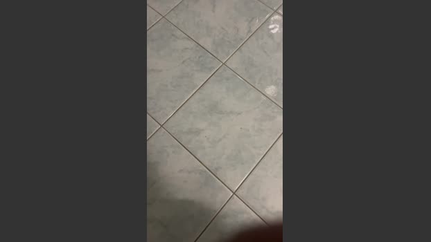 Bullnapol 02-03-2026 Recorded Video bigdick