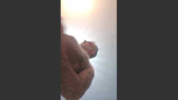 monsterndoll 02-03-2026 Recorded Video fuckhard