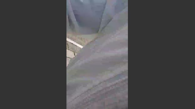 Fredylover 03-03-2026 Recorded Video toys
