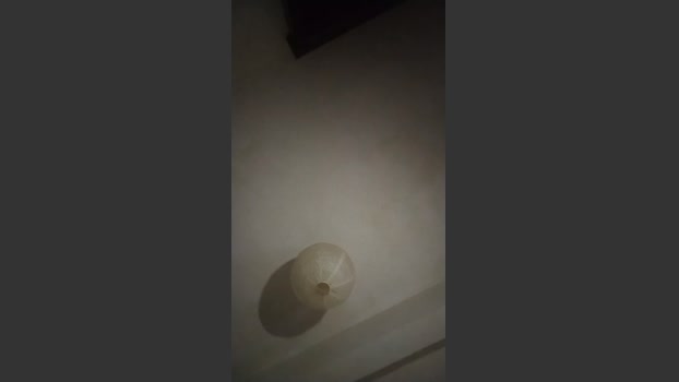 Instar 03-03-2026 Recorded Video Video