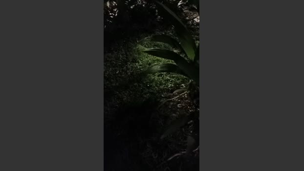 Jupiter_3333 04-03-2026 Recorded Video jerkoff