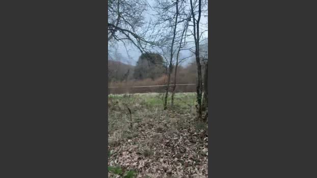 Nono42240 03-03-2026 Recorded Video harddick