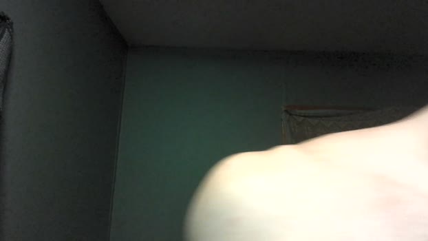 420rebel 05-03-2026 Recorded Video toys