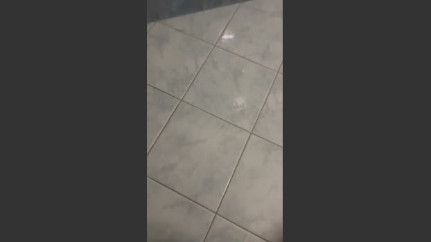 Bullnapol 04-03-2026 Recorded Video big