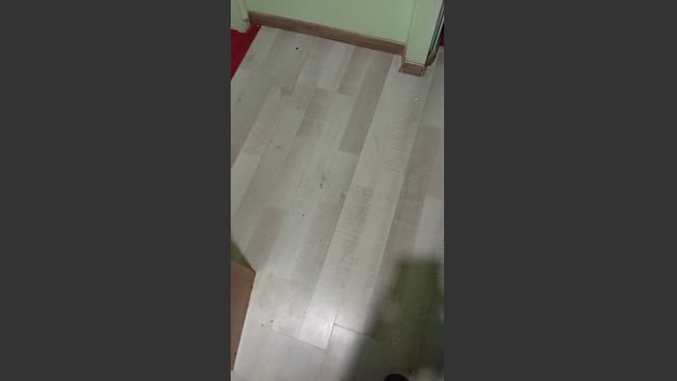 Elpenelon 05-03-2026 Recorded Video jerkoff
