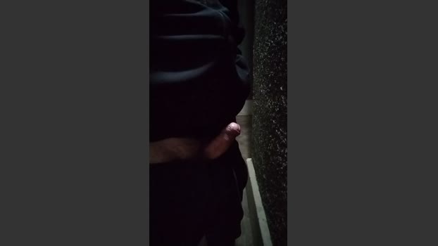 TFgr81 05-03-2026 Recorded Video ass