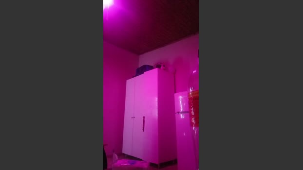 Life4sex 07-03-2026 Recorded Video bigass