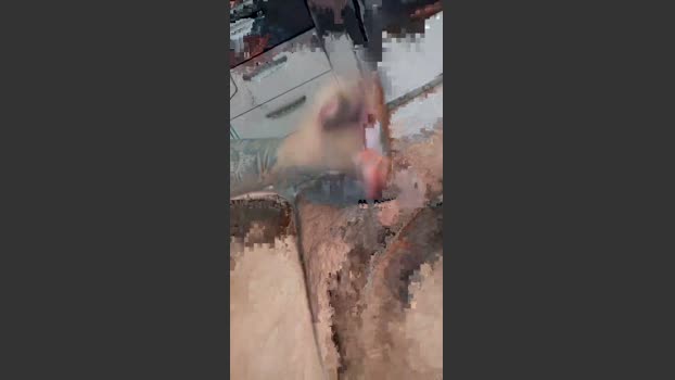 BearFromMao 08-03-2026 Recorded Video fuck