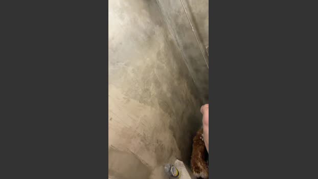 Bighairytopping 08-03-2026 Recorded Video amateur