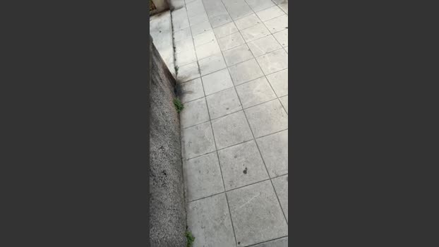 SeQ75 08-03-2026 Recorded Video bigass