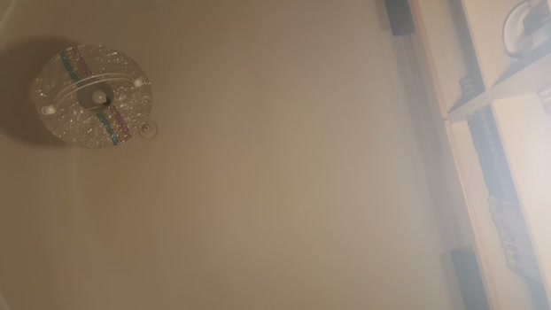 scrocchia84 08-03-2026 Recorded Video sexybody