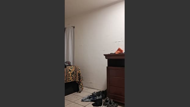 ToTrue87 09-03-2026 Recorded Video analtoy