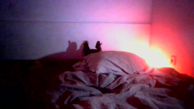 enzo_bllazi 09-03-2026 Recorded Video orgasm