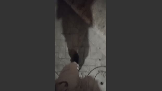 hardsexlove08 09-03-2026 Recorded Video fuckhard