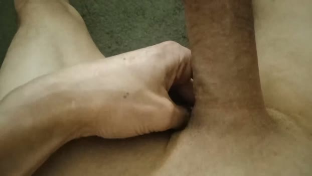 dexter24cm 10-03-2026 Recorded Video beauty