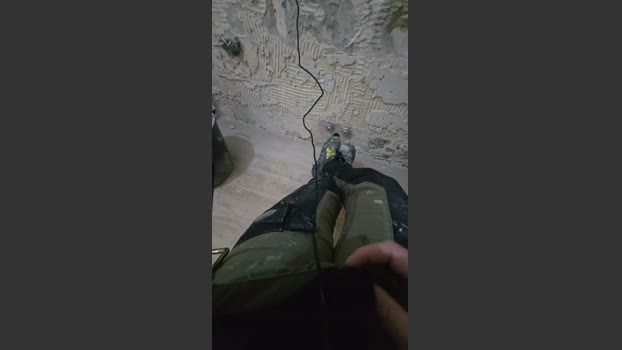 fonzieperver 10-03-2026 Recorded Video jerkoff